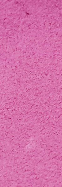 Rosa Mexicano Pastel