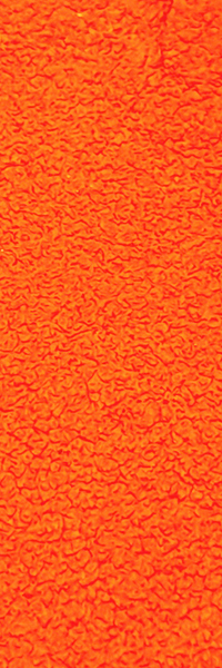 Naranja Pastel Neón