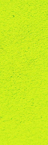 Verde tropical Neón